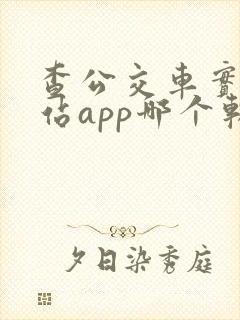 查公交车实时到站app哪个软件好