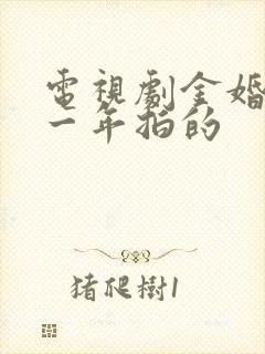 电视剧金婚是哪一年拍的