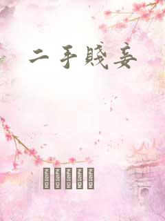 二手贱妾