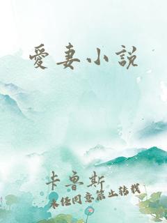 爱妻小说