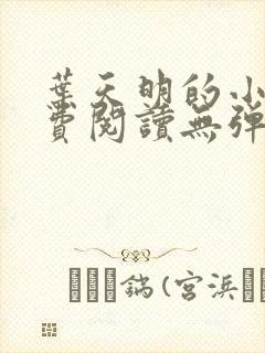 叶天明的小说免费阅读无弹窗