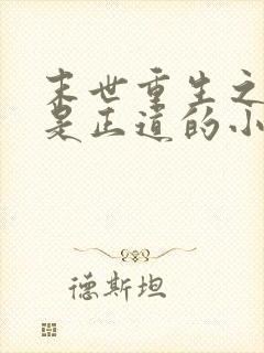 末世重生之宠妻是正道的小说