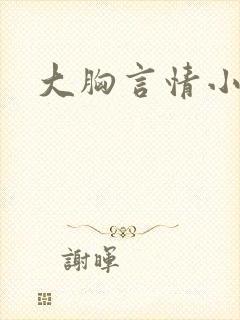 大胸言情小说