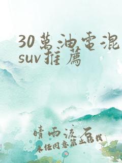 30万油电混动suv推荐