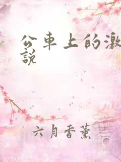公车上的激情小说