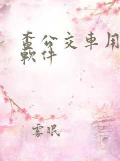 查公交车用哪个软件