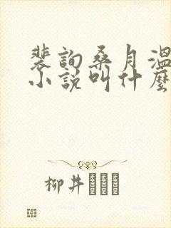 裴询桑月温时川小说叫什么名字