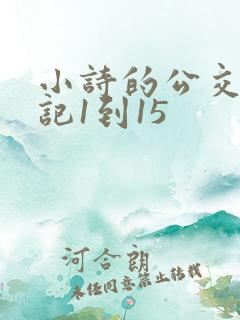 小诗的公交车日记1到15