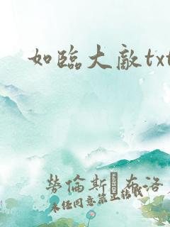 如临大敌txt