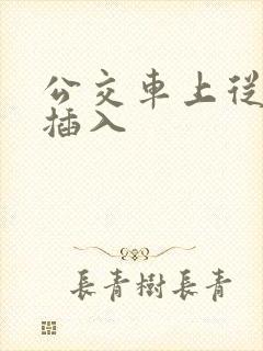 公交车上从后面插入