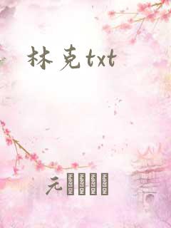林克txt