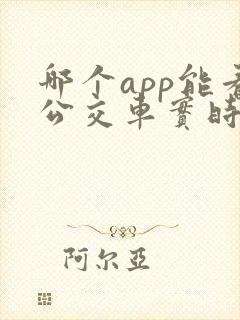 哪个app能看公交车实时位置
