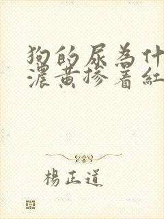 狗的尿为什么是浓黄掺着红色