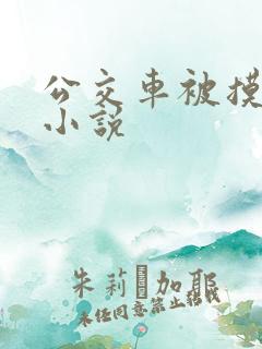 公交车被摸高潮小说