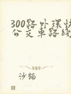 300路外环快公交车路线图
