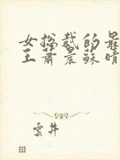 女总裁的最强兵王萧晨苏晴