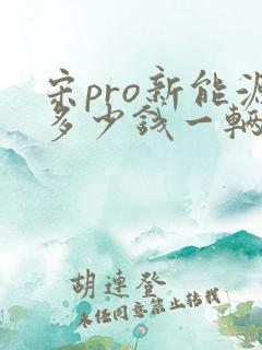 宋pro新能源多少钱一辆