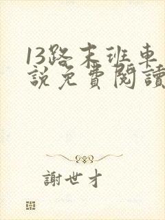 13路末班车小说免费阅读