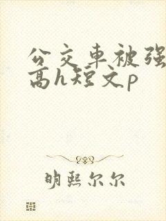 公交车被强好爽高h短文p