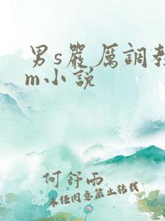 男s严厉调教女m小说
