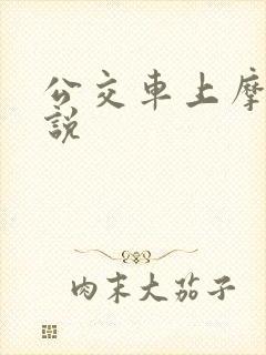 公交车上摩擦小说