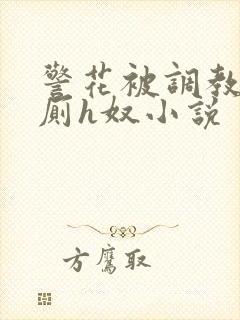 警花被调教成公厕h奴小说