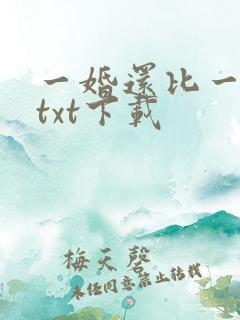 一婚还比一婚高txt下载