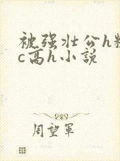 被强壮公h粗暴c高h小说
