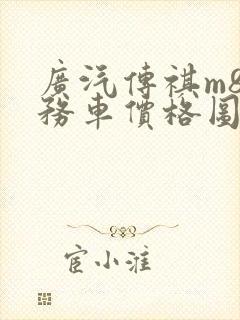 广汽传祺m8商务车价格图片