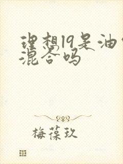 理想l9是油电混合吗