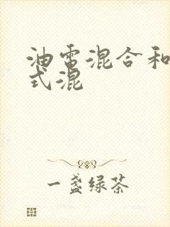 油电混合和插电式混