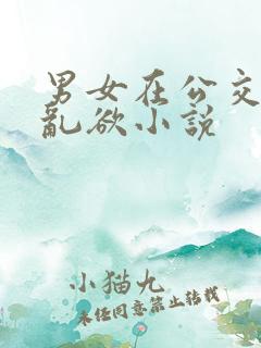 男女在公交车上乱欲小说