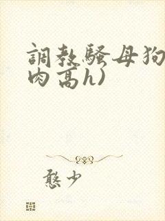 调教骚母狗(纯肉高h)