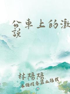 公车上的激情小说