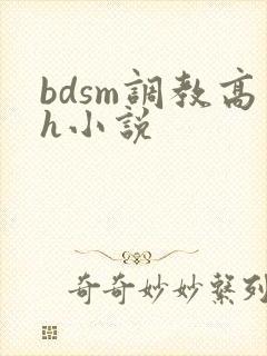 bdsm调教高h小说