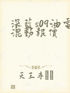 深蓝s09油电混动报价