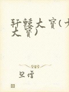 轩辕大宝(少年大宝)