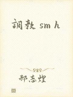 调教 sm h