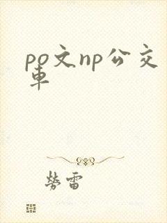 po文np公交车
