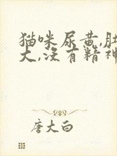猫咪尿黄,肚子大,没有精神