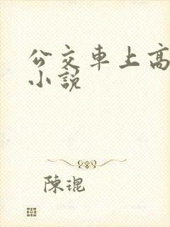 公交车上高潮了小说