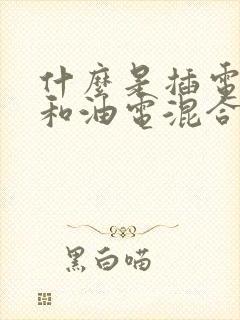 什么是插电混动和油电混合