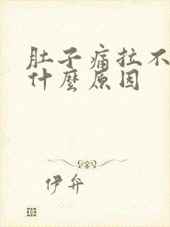 肚子痛拉不出尿什么原因
