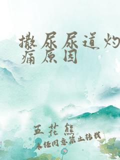 撒尿尿道灼热刺痛原因