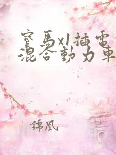 宝马x1插电式混合动力车