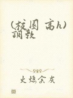 (校园 高h)调教