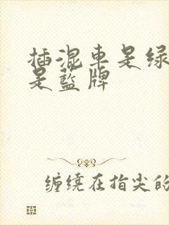 插混车是绿牌还是蓝牌