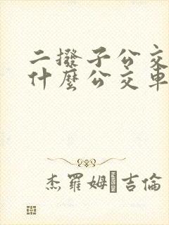 二拨子公交站有什么公交车