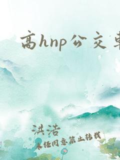 高hnp公交车