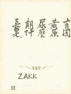 长期尿黄有泡沫是什么原因